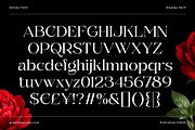 Solvéa – Serif Font Family, a Serif Font by Grezline Studio (Thumbnail 6 of 12)