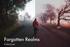 Forgotten Realms-4 Lightroom Presets