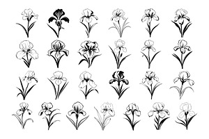 50 Iris Flowers Procreate Stamps