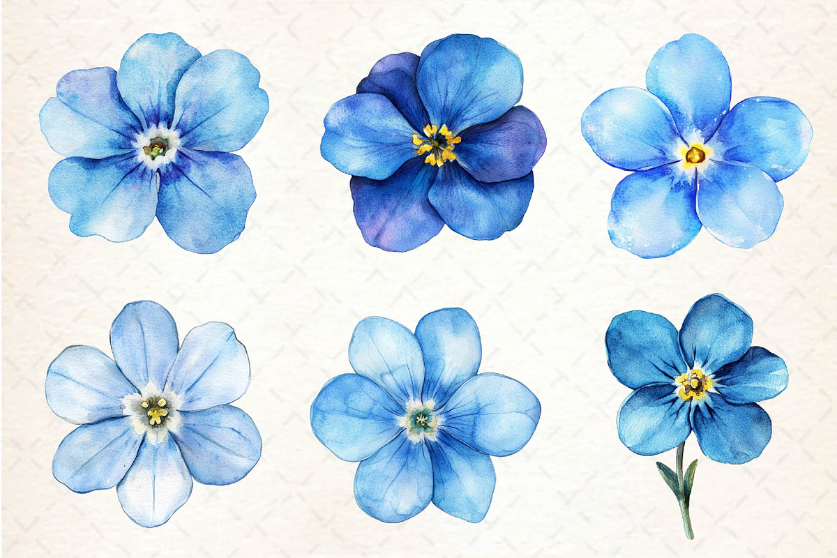 Forget Me Not Flower Bloom Clipart, an Illustration by Dream Creation (Photo 2 of 5)