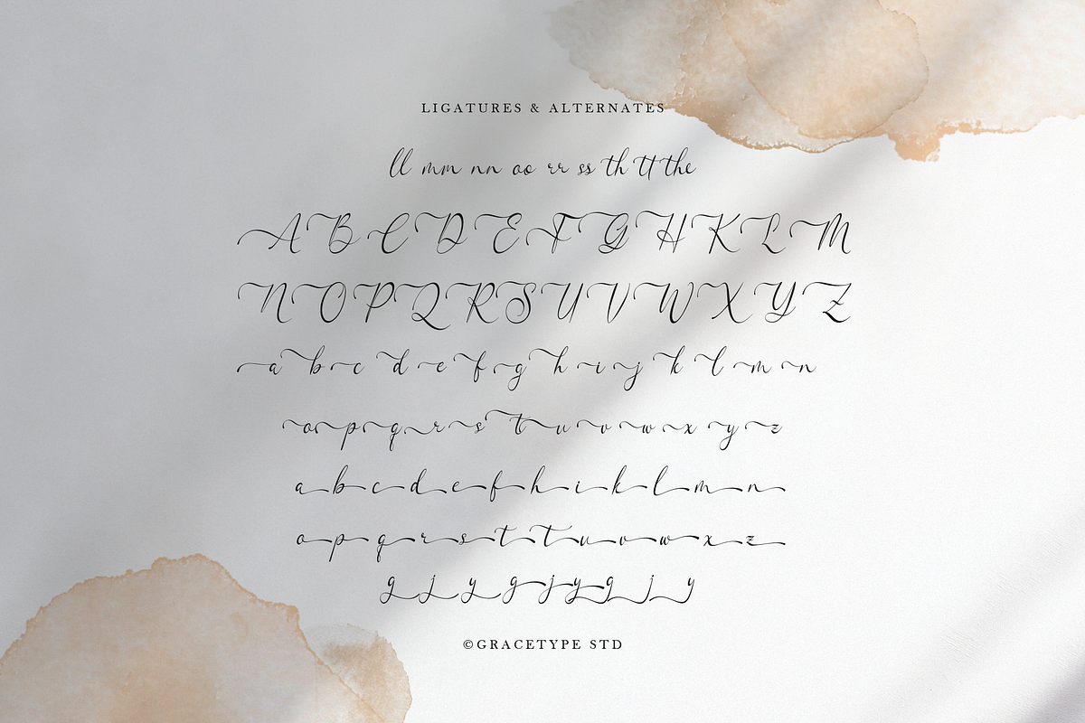 Woncherlly Elegant Calligraphy, a Script Font by gracetype_studio (Photo 12 of 12)