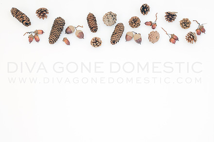 Styled stock photo - Fall acorns
