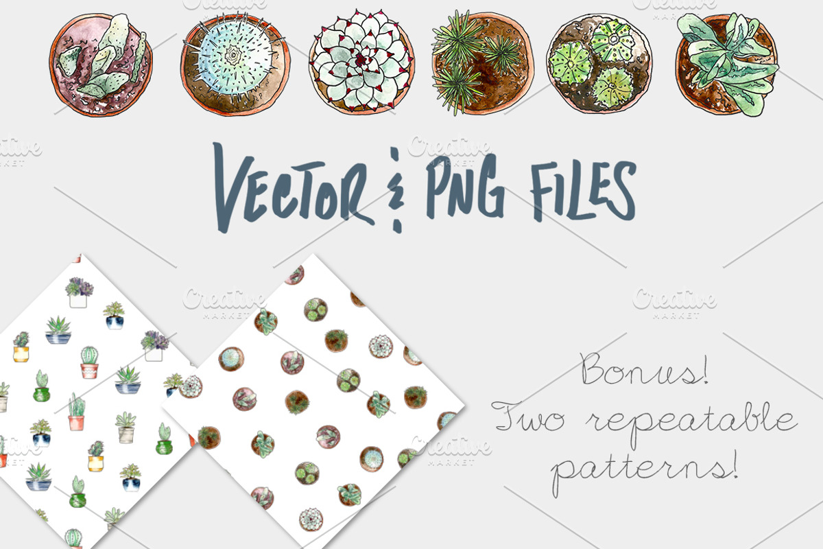 Potted Succulents Illustration Pack, an Illustration by plaidGecko (Photo 3 of 3)