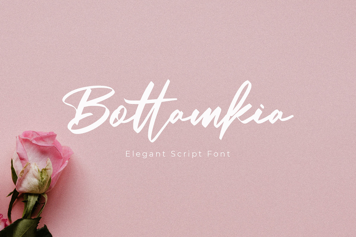 Bottamkia Brush Script Font, a Script Font by NTC Graphic (Photo 1 of 8)
