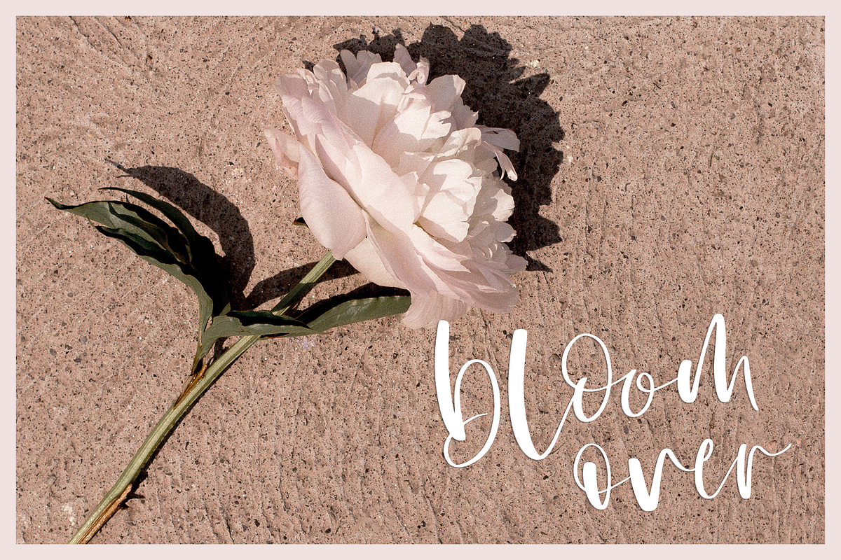 Darling Font - Modern Brush Script preview 6