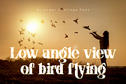 Stronger Feelings Font, a Serif Font by 177Studio (Thumbnail 4 of 9)