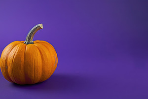 Single orange pumpkin on purple background with copy space, a Food & Drink Photo by José Manuel Gelpi