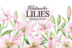 Pink lilies watercolor clipart set, an Illustration by OlDm_Shop
