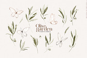 Olive garden watercolors clipart, an Object Graphic by Angele Kamp (Thumbnail 6 of 9)