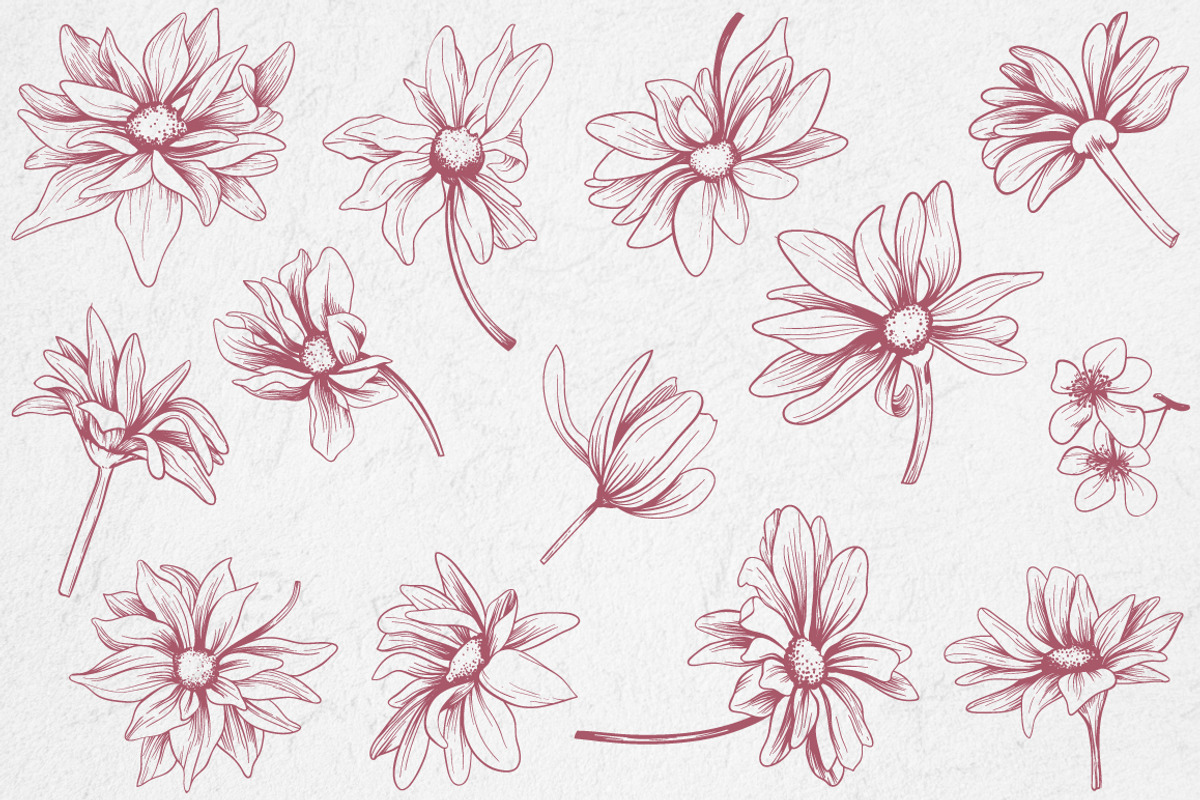 Vintage Bundle- 250 vector elements, an Object Graphic by TatianaCociorva (Photo 9 of 19)