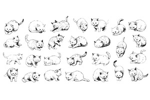 Sketch cats. Cute playful kitten, an Animal Illustration by Stock-Smart-Start