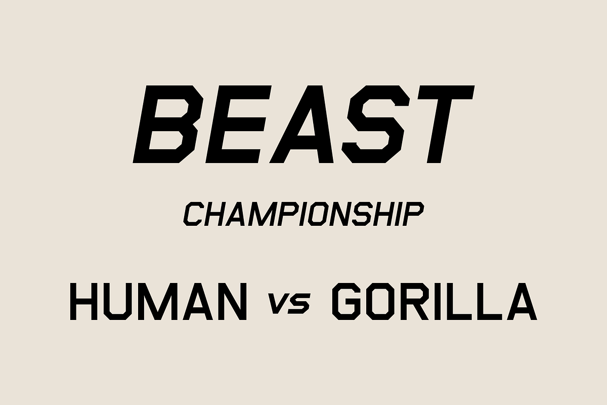 Deciso – Font Family, a Sans Serif Font by Stefano Giliberti (Photo 3 of 10)