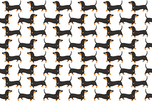 Dachshund Vector Illustration Set