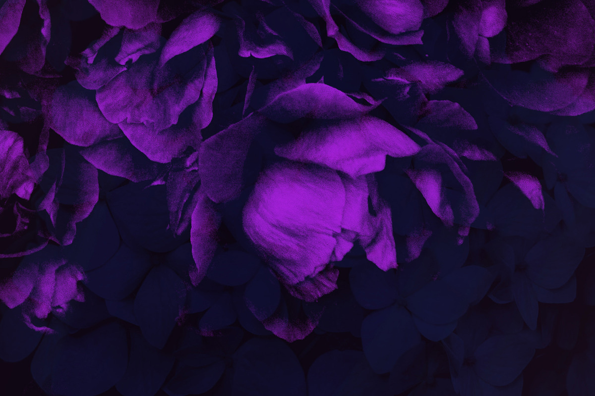 Elegant Floral Photoshop Brushes, a Brush Add-On by Milka (Photo 8 of 10)