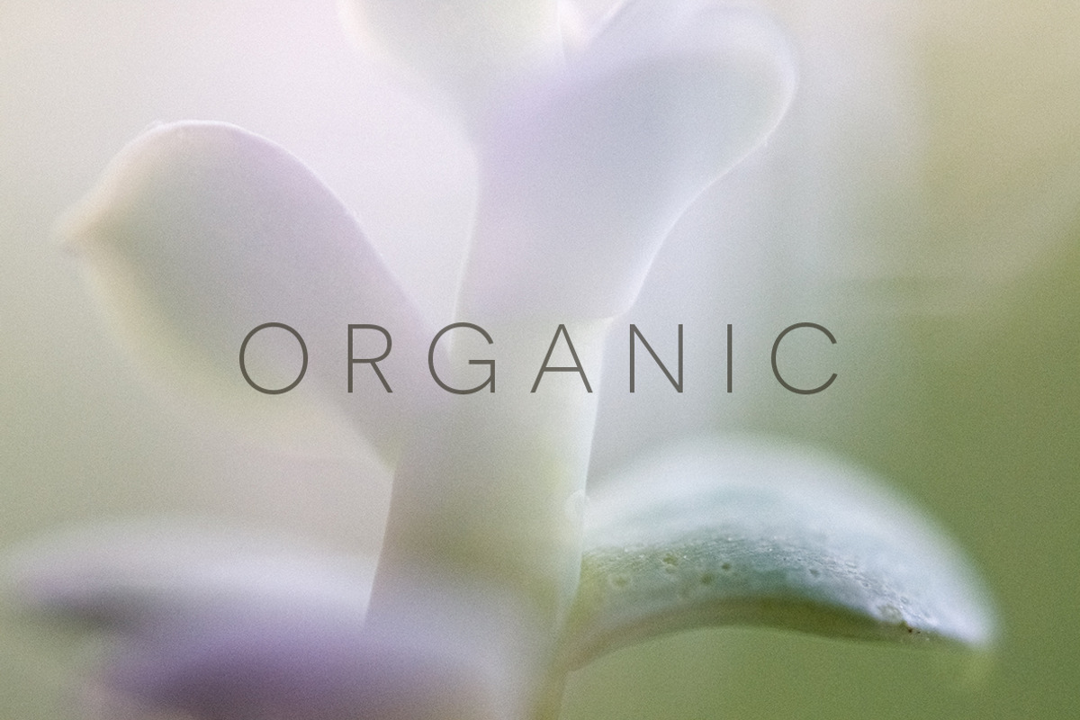 Organic | 20 Botanical Photos, a Nature Photo by Melanie Helena (Photo 6 of 20)