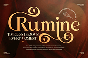 Hellian - Modern Lavish Luxury Font, a Serif Font by Sensatype (Thumbnail 7 of 13)