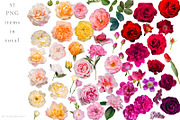 PNG Floral clipart collection, an Object Graphic by Imageblend (Thumbnail 2 of 8)