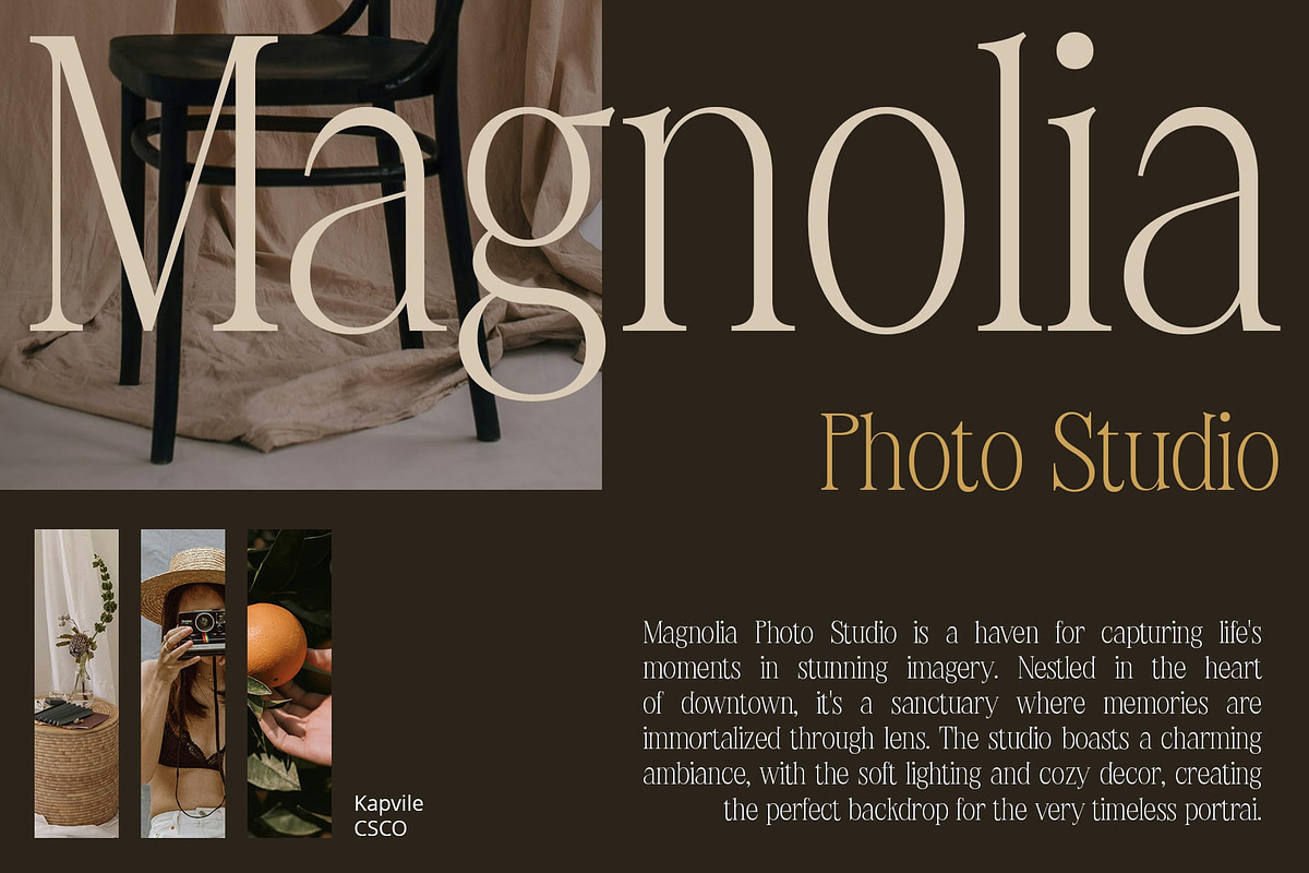 Kapvile – Elegant Font, a Serif Font by Craft Supply Co. (Photo 3 of 8)
