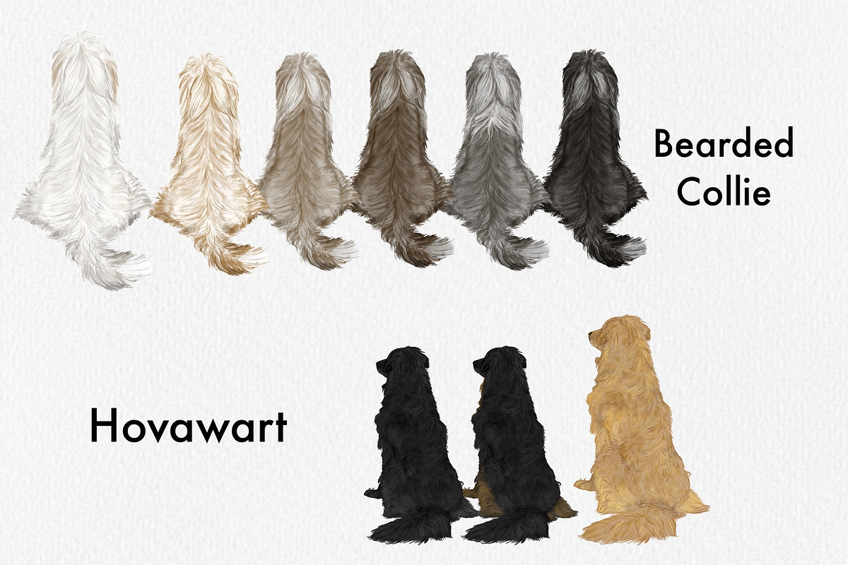 Watercolor Dog Breeds Clipart., an Animal Illustration by ColorfulPT (Photo 5 of 8)