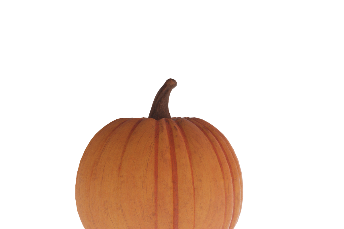 Halloween Pumpkin, a Characters & Person 3D Model by NOMODOL (Photo 10 of 13)