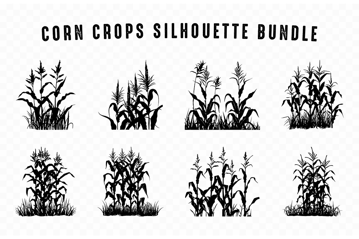 Corn Stalk Silhouette SVG Vector Set, a Finance Illustration by Gfx Expert Team (Photo 1 of 3)
