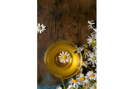 Chamomile Tea Cup Fresh Daisy