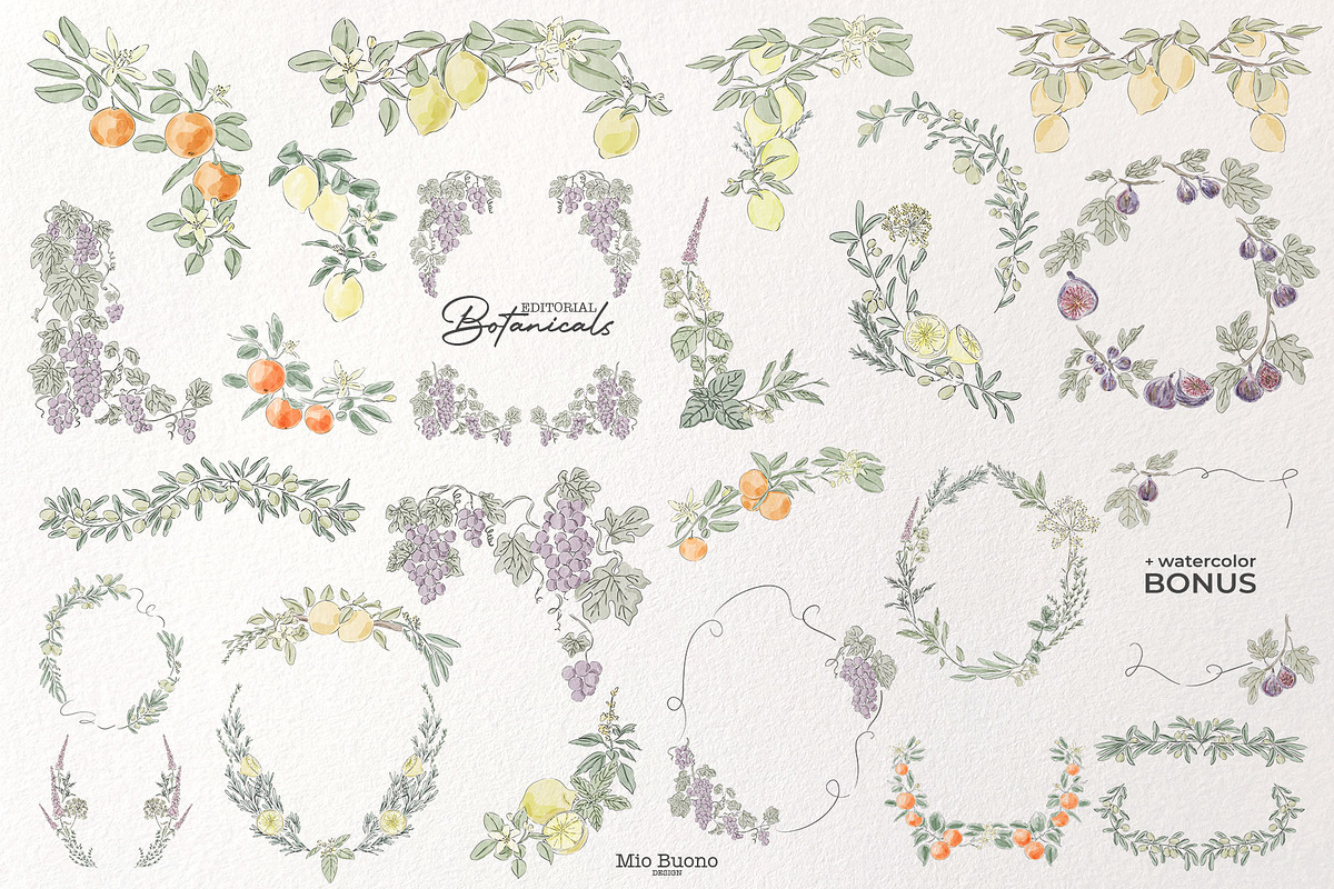 Editorial Botanical Line Art, an Object Illustration by Mio Buono (Photo 13 of 16)