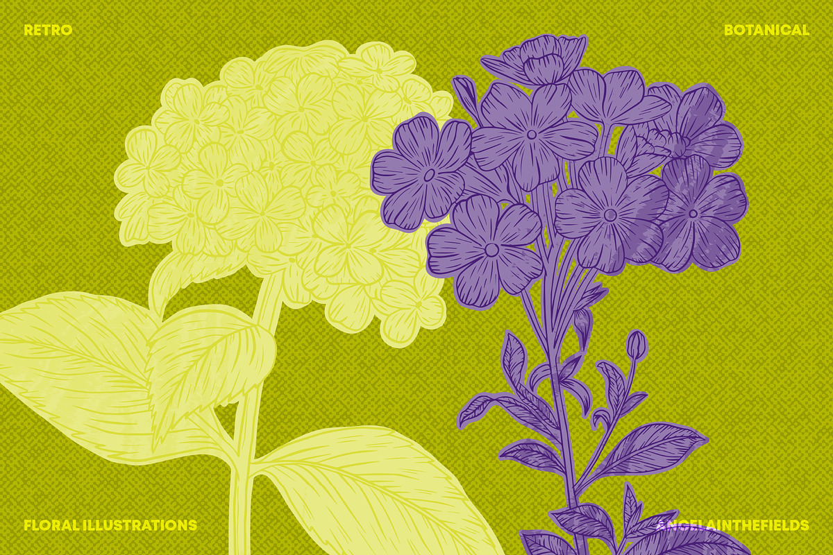 Flora Romantica Vector Florals, an Object Graphic by angelainthefields (Photo 9 of 12)