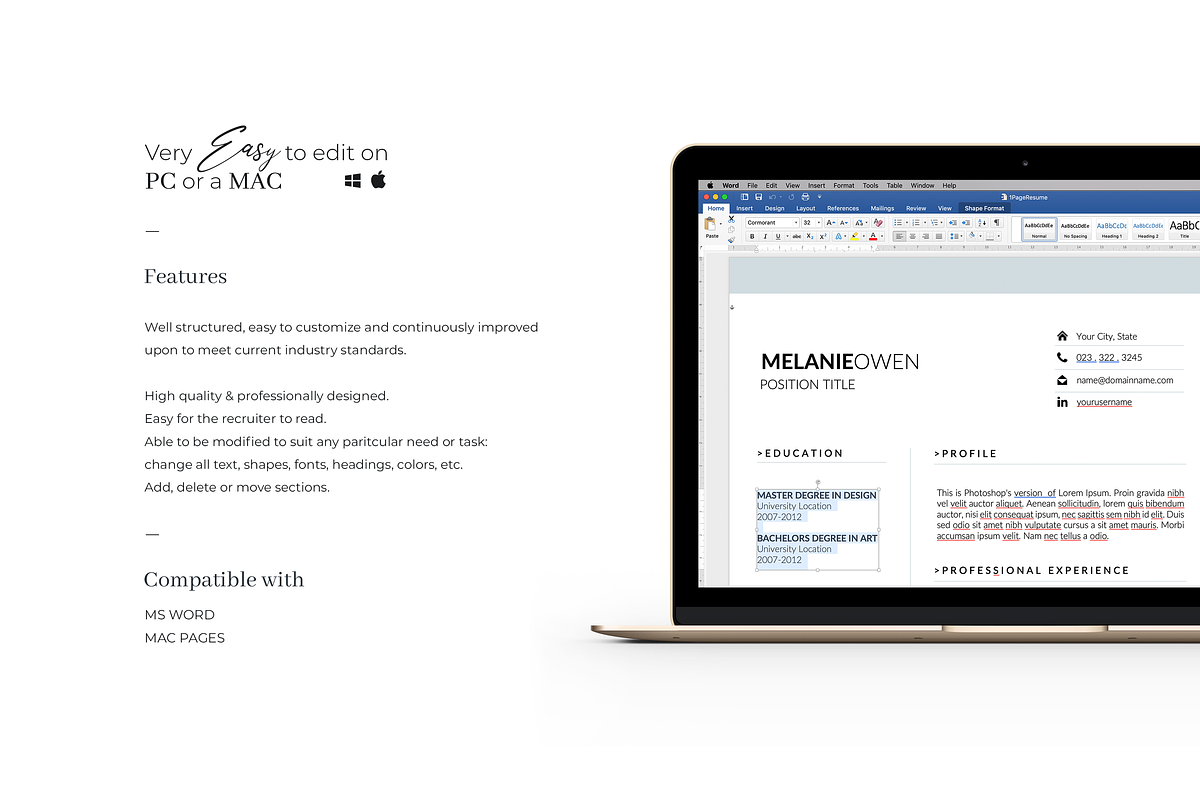 Customizable 5 Page Resume Template, a Resume Template by GraphicFlava (Photo 6 of 8)