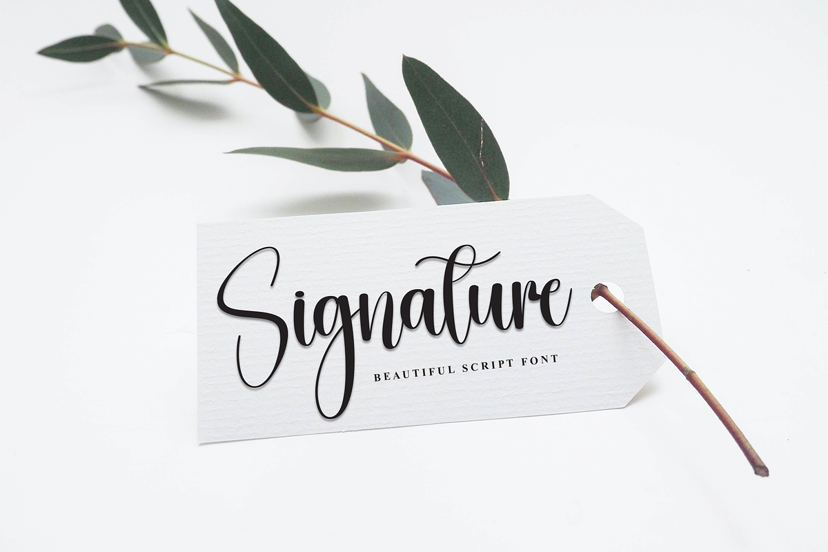 Dolly | Script Font, a Handwritten Font by Scratchones (Photo 3 of 9)