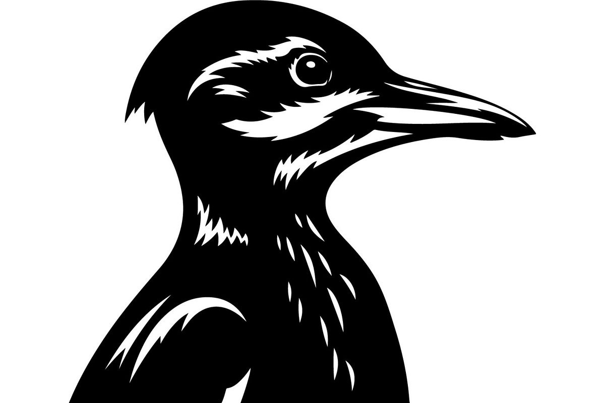 Forest Sky Birds Illustration Vector, an Animal Illustration by Designer_Momina (Photo 17 of 21)