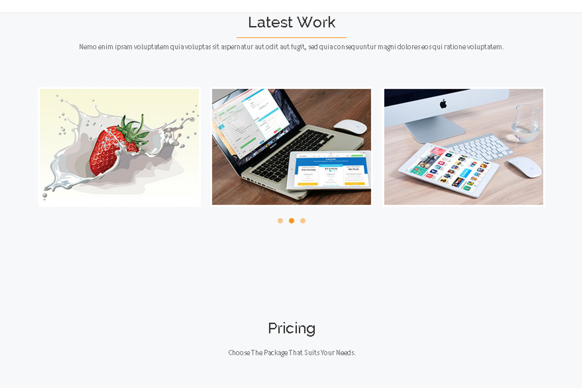 Simple Landing Page, a HTML Template by Sajida Salim (Photo 3 of 3)
