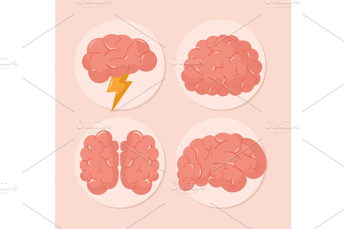 four colored brains, a Healthcare Illustration by studiogstock