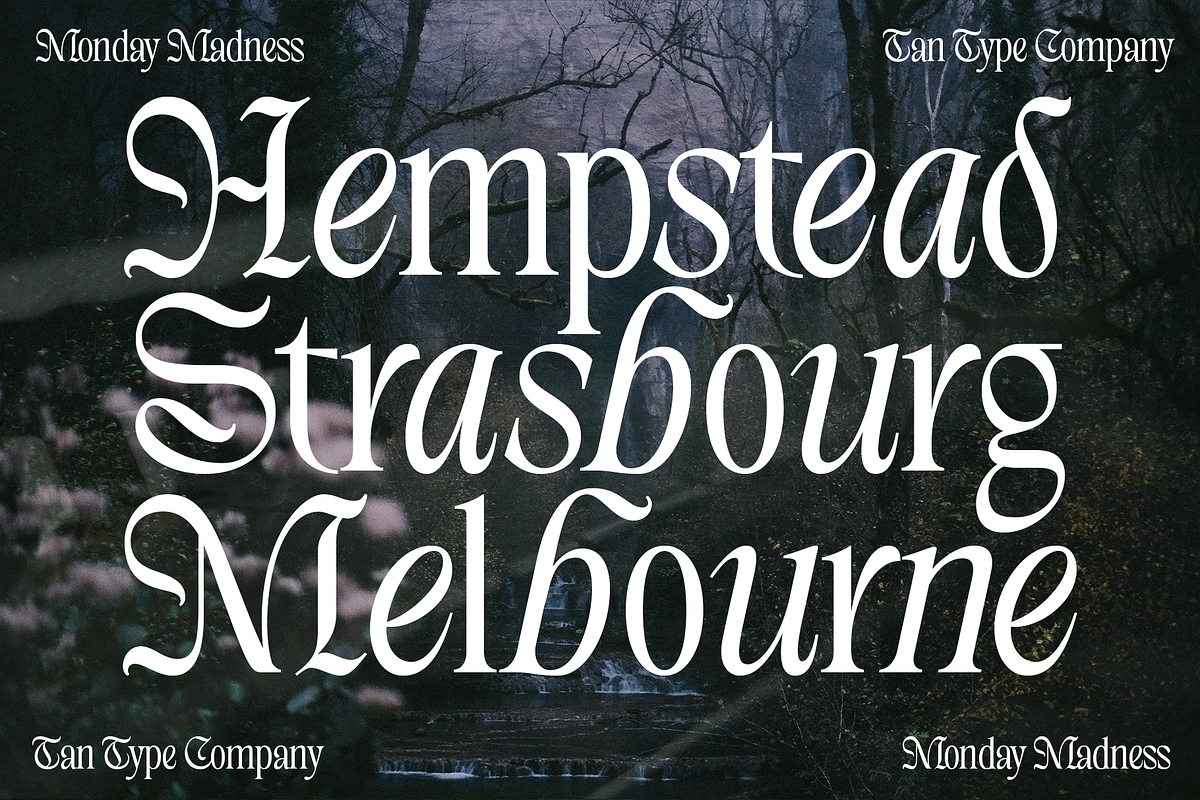 TAN - MONDAY MADNESS, a Blackletter Font by TanType (Photo 6 of 13)