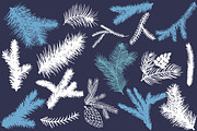 Cute fox.Vector design collection, an Animal Illustration by TashaDraw (Thumbnail 9 of 10)