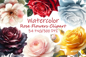 Watercolor Rose Flowers Clipart, an Illustration by Libby Wishes
