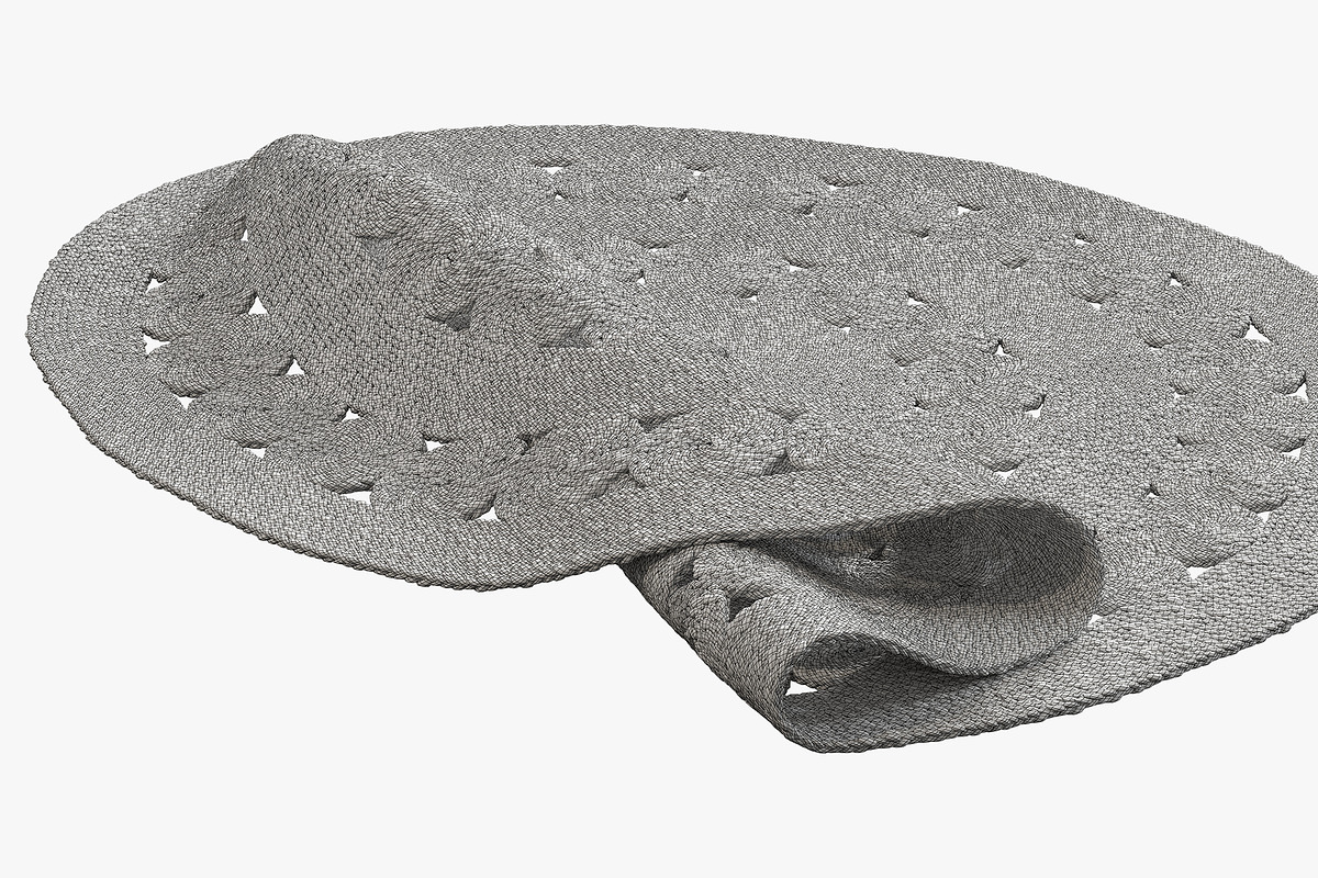Joybird Tabris Rug, a Furniture 3D Model by 3dmitruk (Photo 10 of 11)