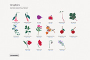 Spanish Botanical Floral Pattern, a Pattern Graphic by likorbut (Thumbnail 6 of 12)