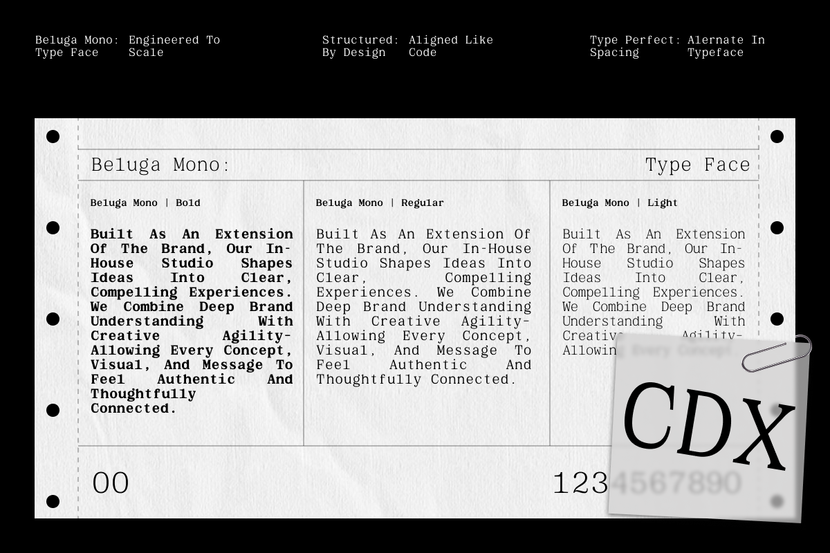 GC Beluga Mono - Elegant Modern Mono, a Serif Font by Glyphonic (Photo 9 of 15)