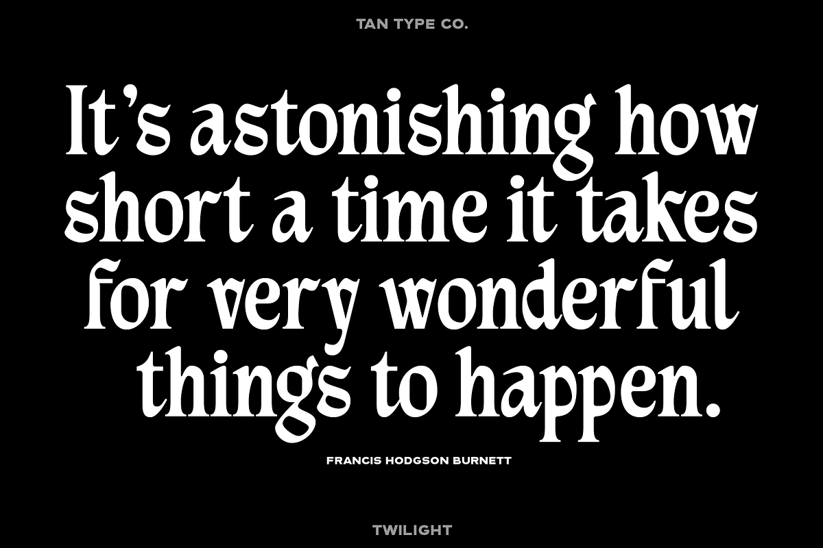 TAN - TWILIGHT, a Blackletter Font by TanType (Photo 3 of 13)