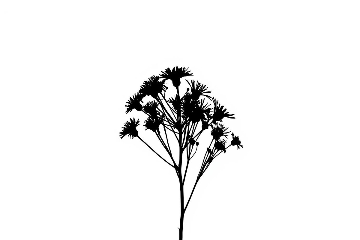 Meadow Flower Silhouette Vector, an Illustration by Designs_River (Photo 2 of 9)