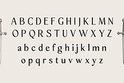 Sonne | 12 Fonts, a Serif Font by Skinny Type (Thumbnail 10 of 11)