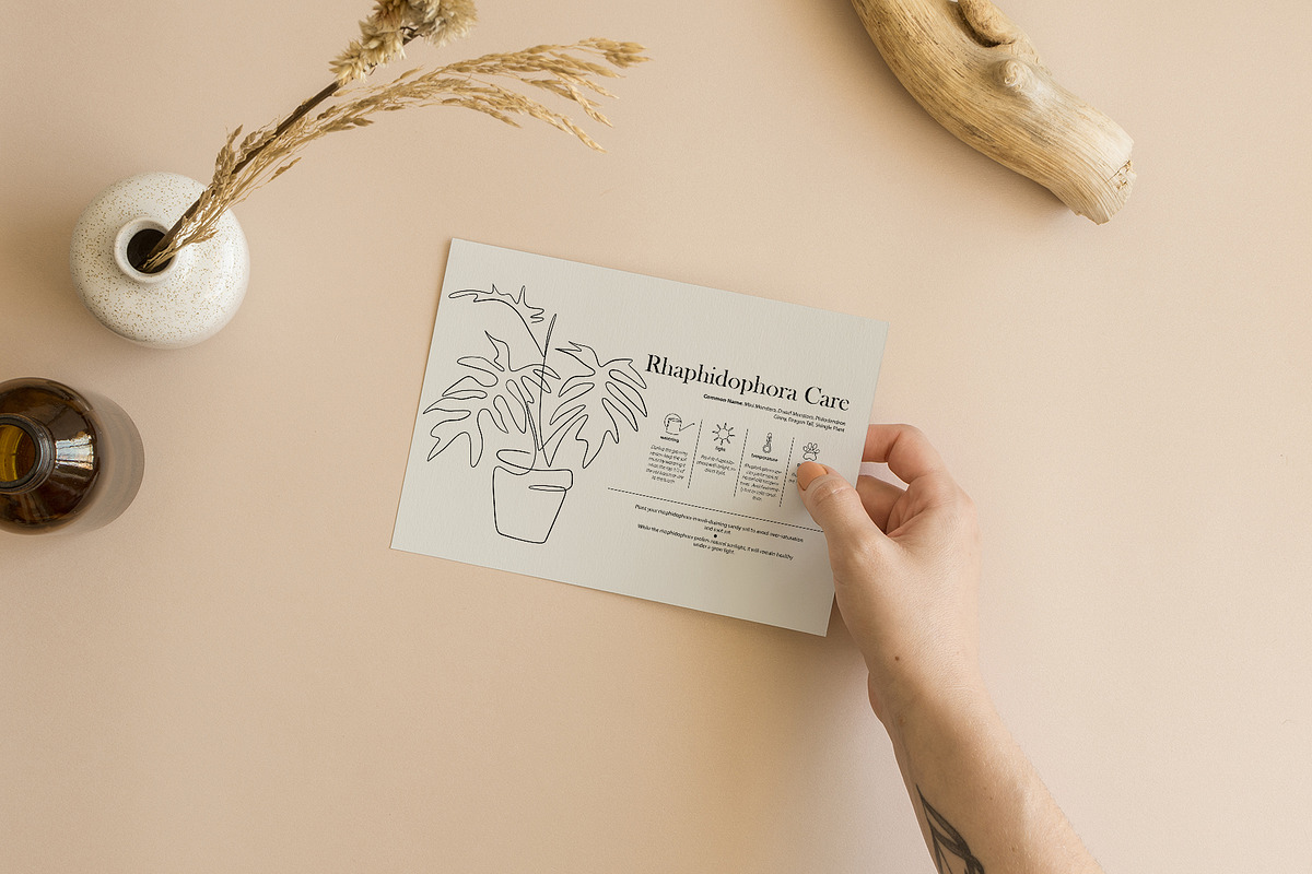 Home Plant Lover, a Decorative Illustration by Anna.Klets (Photo 10 of 11)