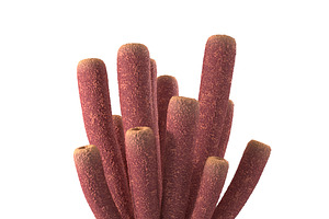 Purple Tube Sponges