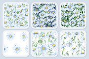 Delicate daisies, a Decorative Illustration by EshaStudio (Thumbnail 4 of 9)