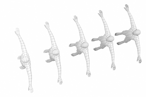 Natural Male T-Pose In 5 Topologies