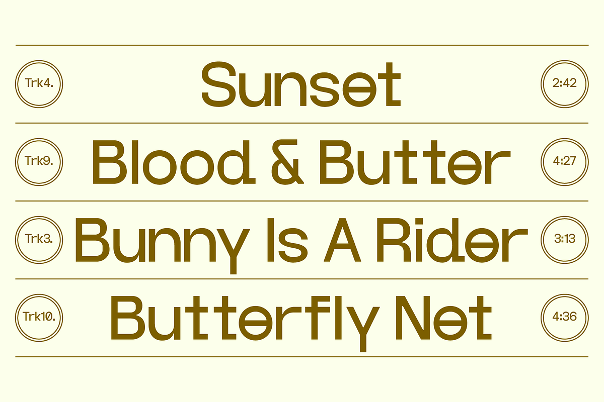 Andree Grotesk Regular, a Sans Serif Font by Nguyen Type (Photo 3 of 9)