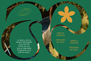 Varelle – Art Nouveau Font, a Serif Font by Craft Supply Co. (Thumbnail 5 of 8)