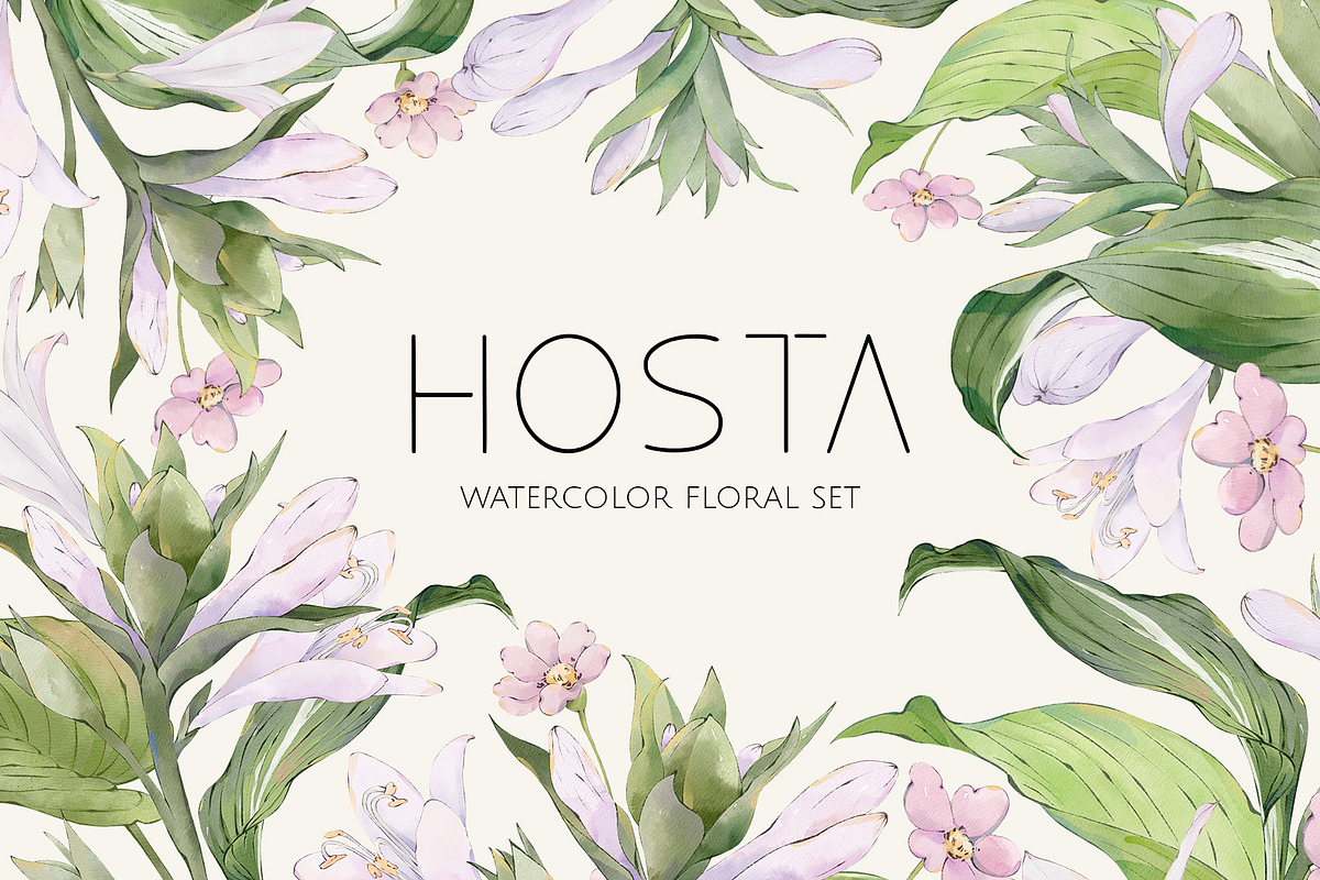 HOSTA watercolor floral set, a Decorative Illustration by Yuliia Lashevska (Photo 1 of 12)