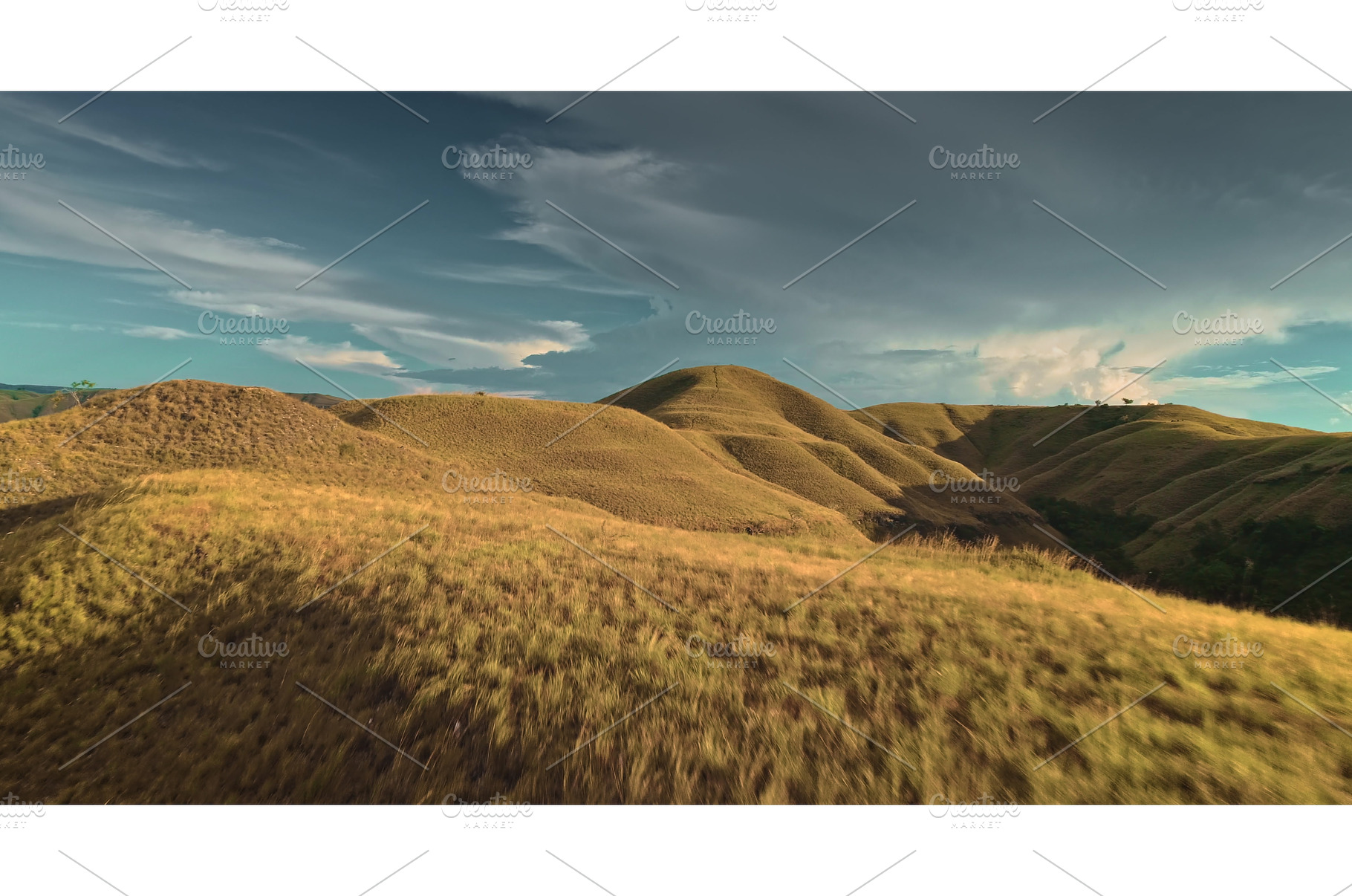 Golden hills covering Sumba Island, a Nature Photo by Goinyk